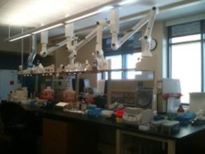 Toxicology department